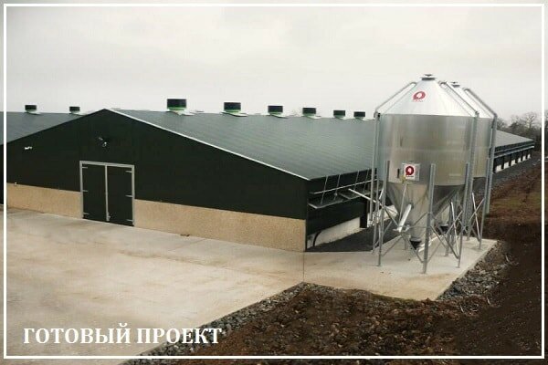 Этапы возведения птицефабрики от завода ВелесТент-рлв